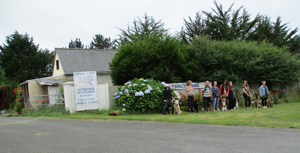 Une partie du club